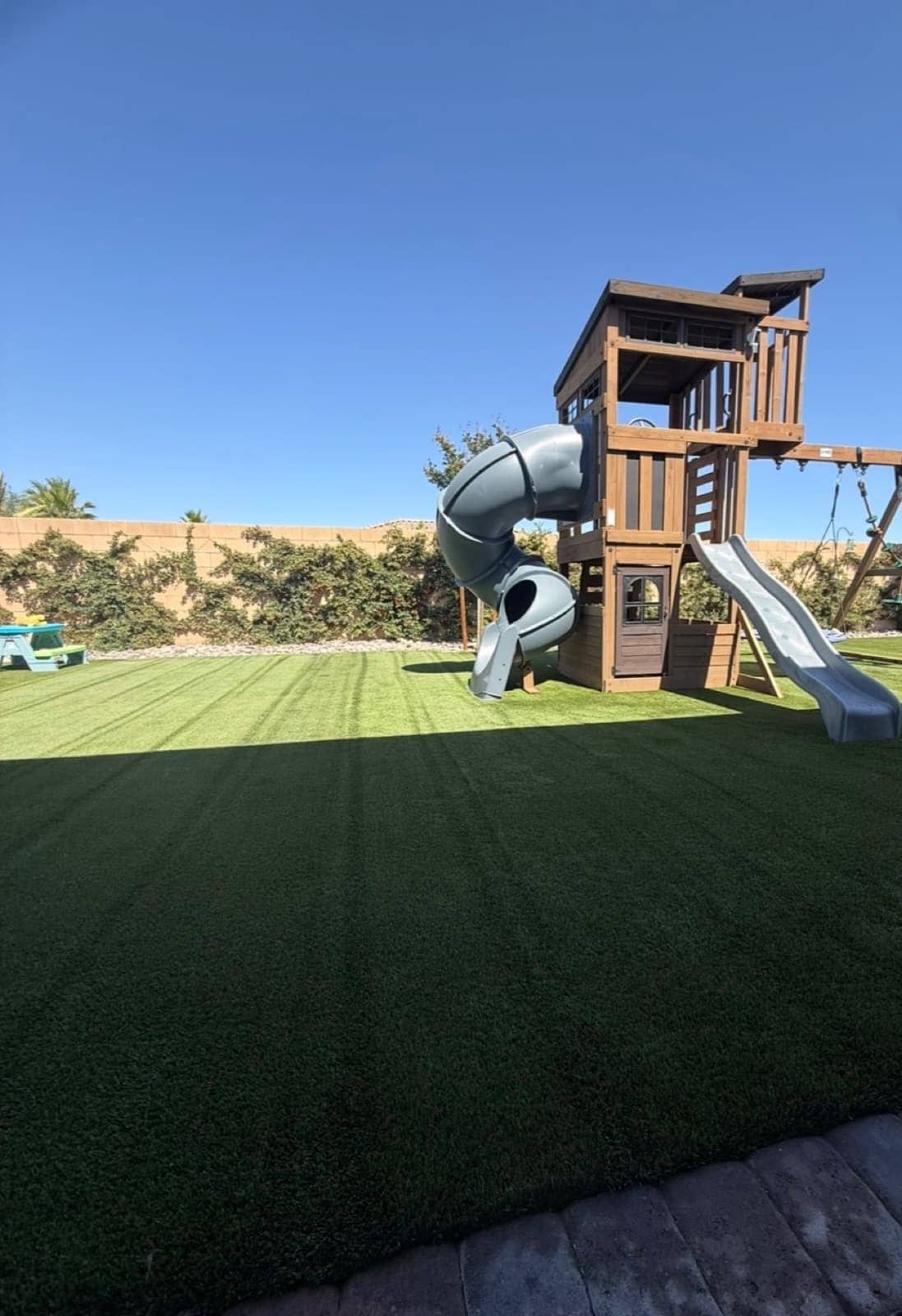 Deep-cleaned pet turf, Las Vegas